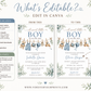 Editable boy baby shower invitation Canva template with watercolour clothesline scene featuring denim overalls, knit bonnet, booties, toy airplane, wooden pull dog, and teddy bear with eucalyptus border on a white background